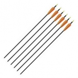 Arrows & Accessories