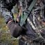 3HGR Overberget Gun Sling