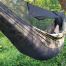 Bushmen Hammock Mosquito Net