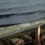 DD Hammock Sleeve