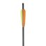 EK Archery 20" / 51cm Carbon Bolt (6pcs)