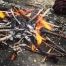 Live Fire Gear 550 Firecord Thin Red Line
