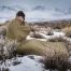 Helikon-Tex Swagman Roll Poncho
