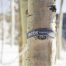 Eno Helios Ultralight Suspension System