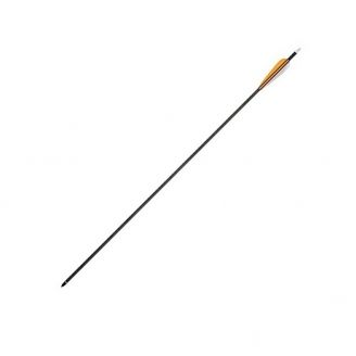 Man Kung Carbon Arrow 30