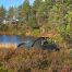 NorTent Skjul Bivy Teltta