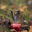 Primus Firestick Stove