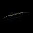 SAS Atmos Compact Modern Longbow